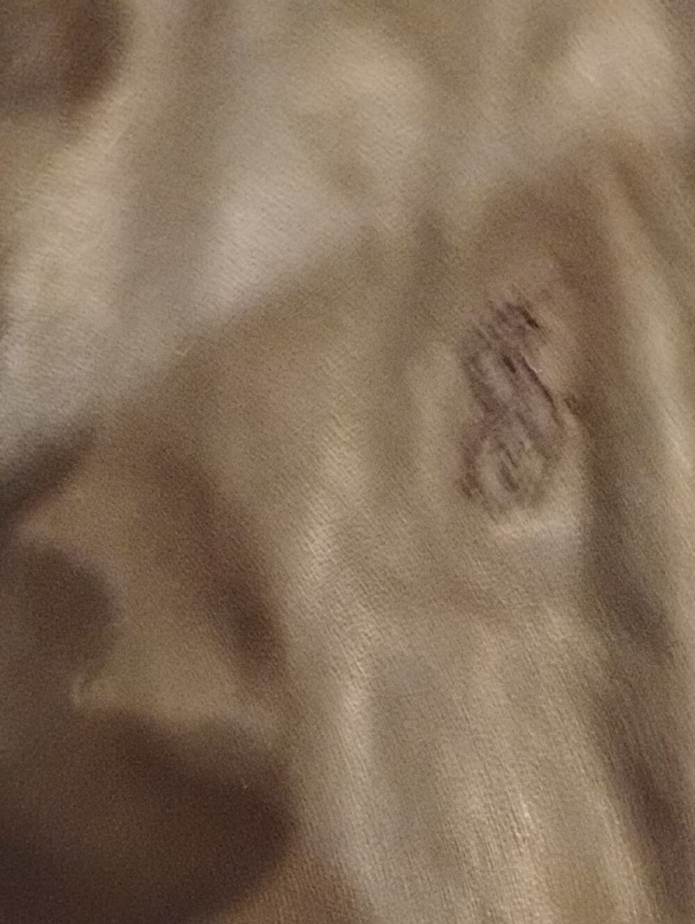 Ralph Lauren Black Leather Moto Jacket With Flannel Interior - Picture 3 of 4